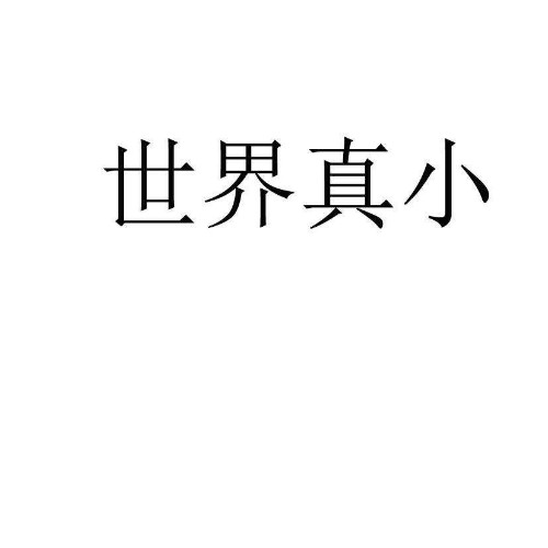 真小