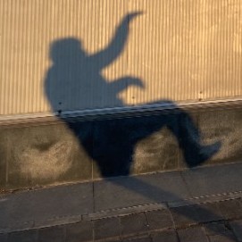 幾何韜略