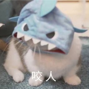 一直重拳
