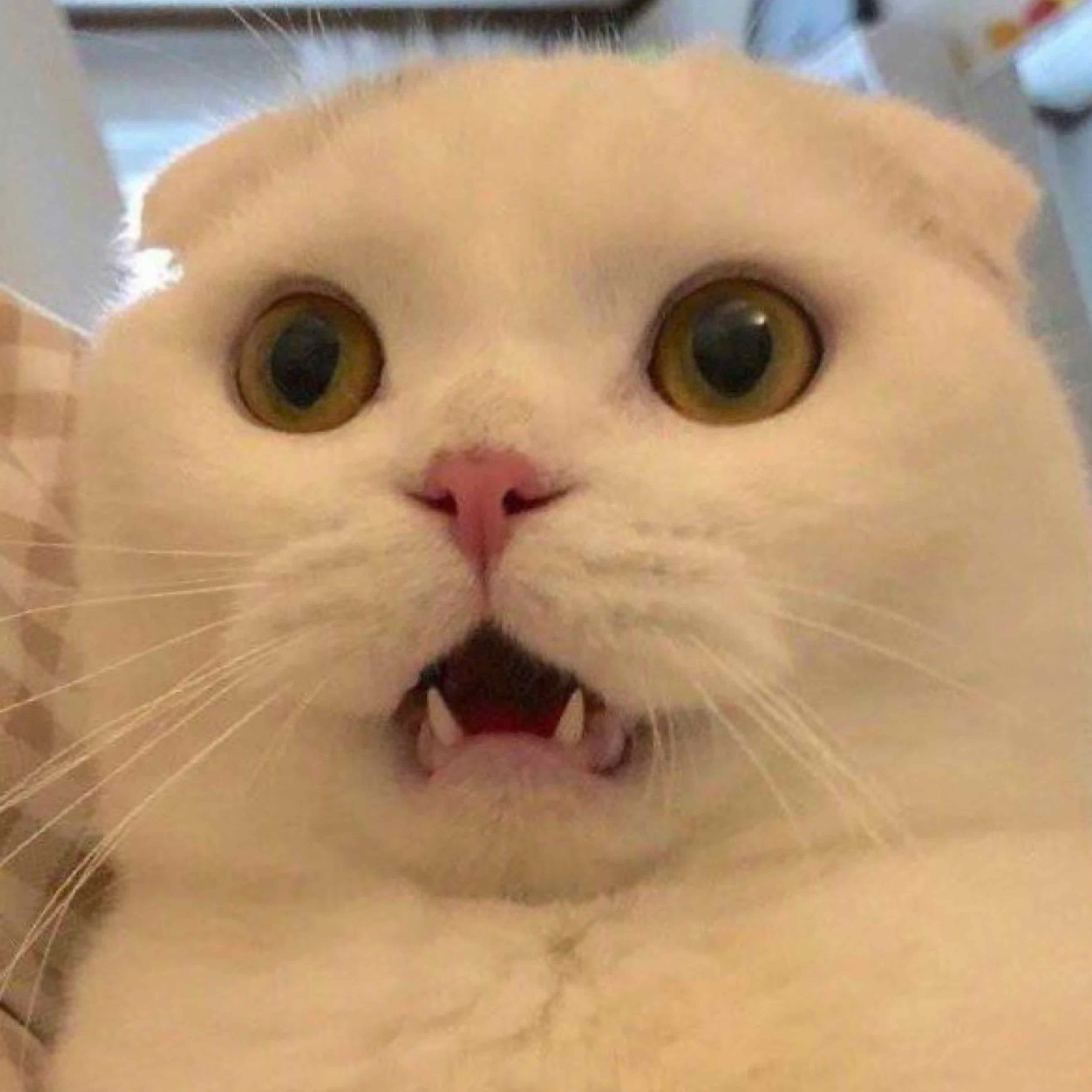 一狂且