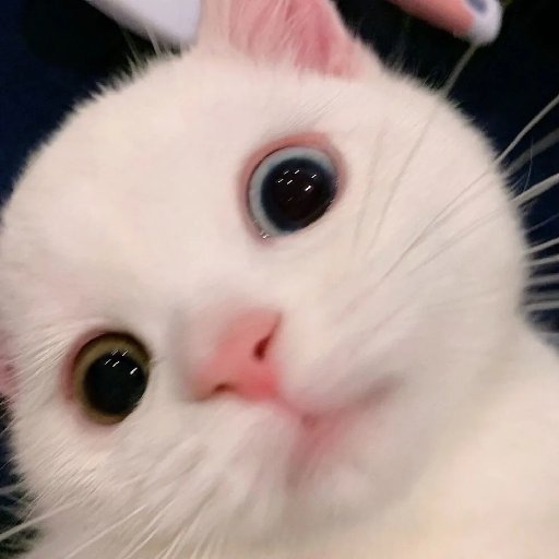 紀非煙