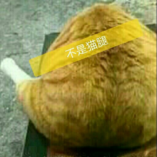 小捅瓜