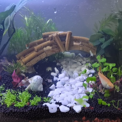 觀魚的星河