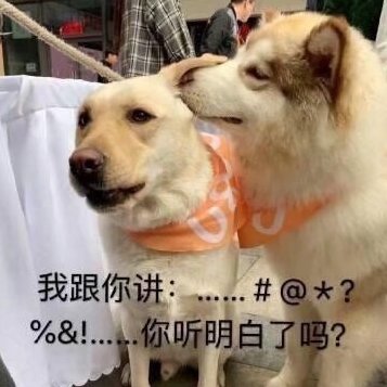 兩色繁花