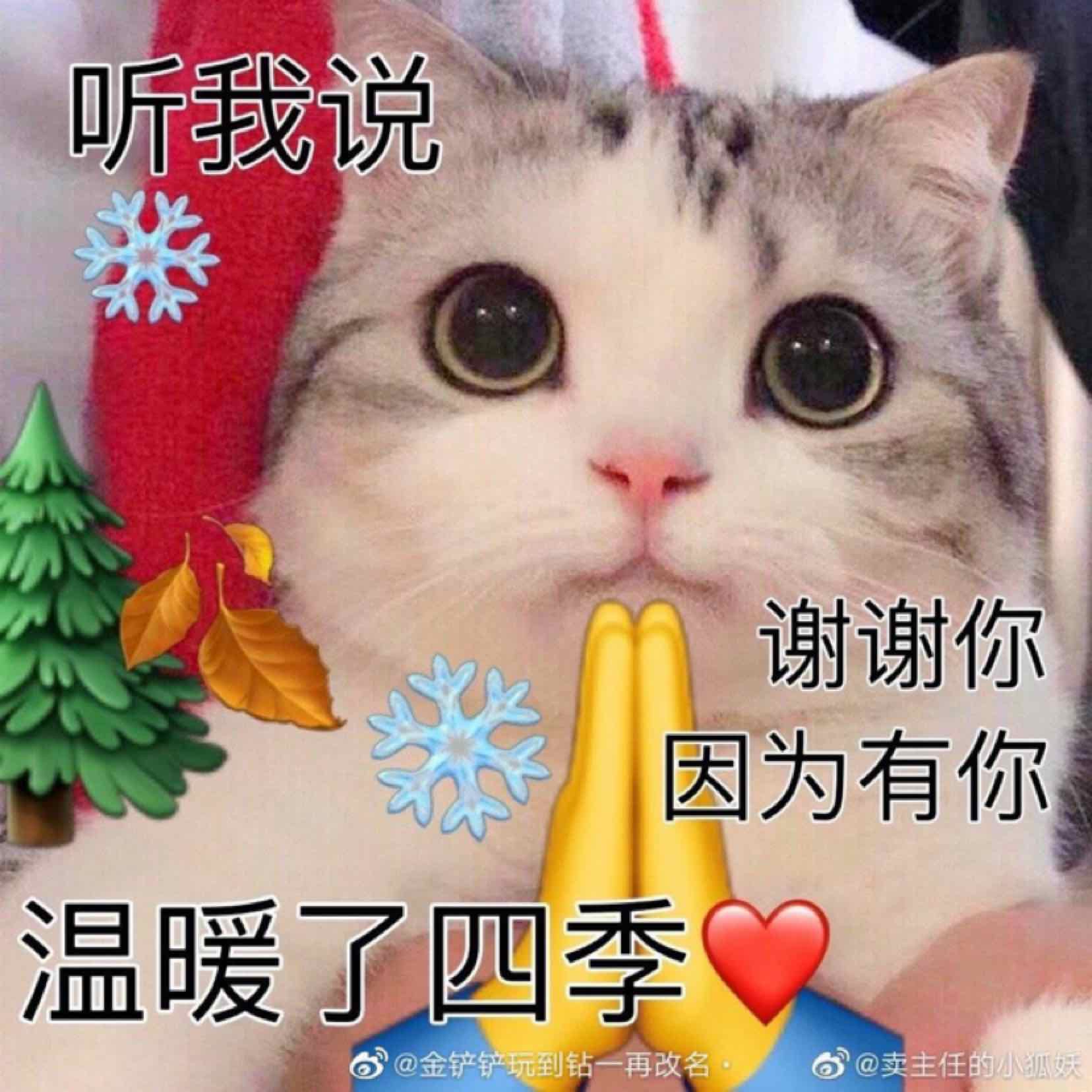 蛇皮惡霸