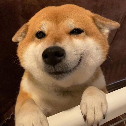 均愛糖