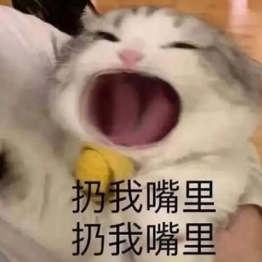 言枝