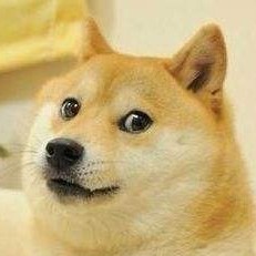 會促織的狗子