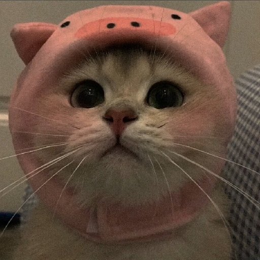 哪里來的月光