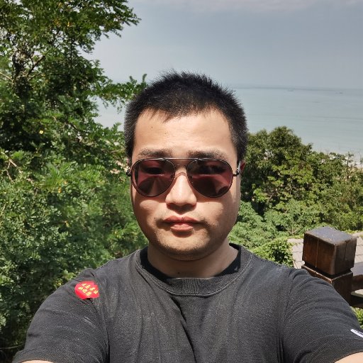 大狗追小狗