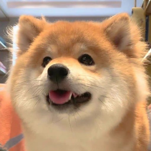 樂淘兒