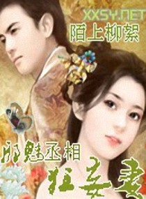 邪魅丞相狂妄妻