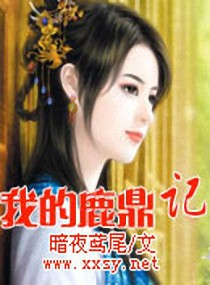 我的鹿鼎记
