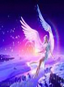 <em>网王</em>之王子的<em>女王,网王</em>之王子的女王全文阅读