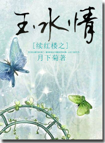 续红楼之玉水情