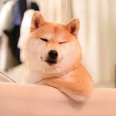 开启地球ol时代