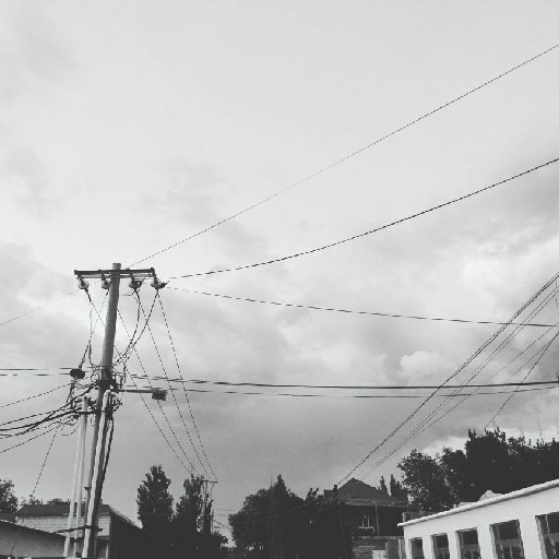 黑不溜秋的白