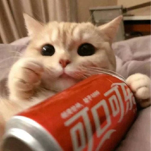 白青东褂
