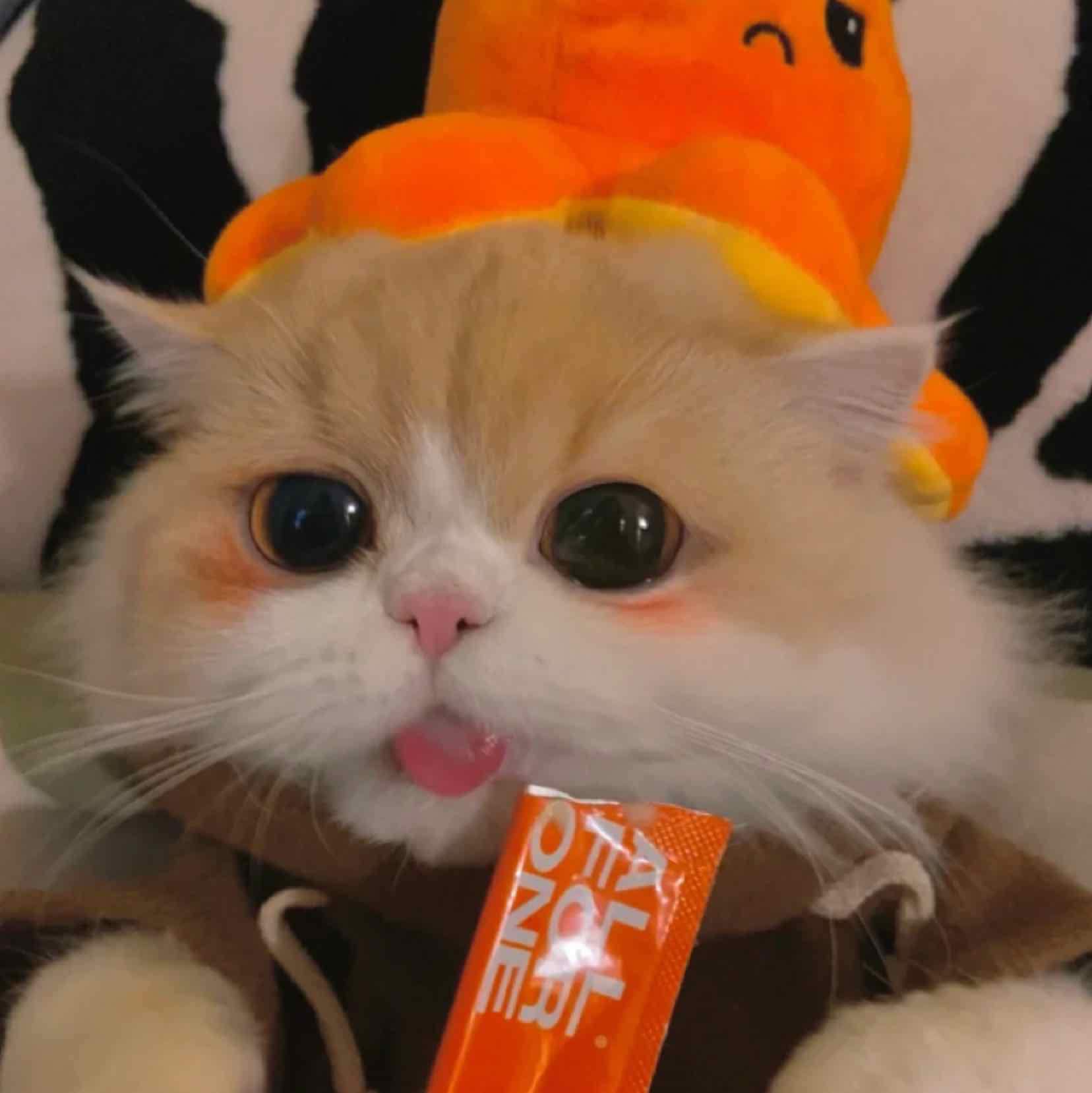 倾城绝恋之神女传